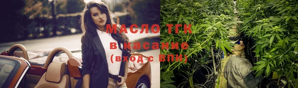 гашик Инсар