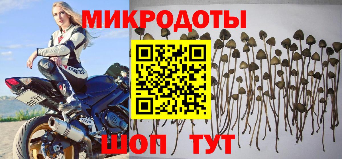 Галлюциногенные грибы мицелий Моздок