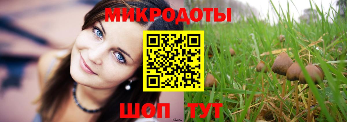 Моздок  Галлюциногенные грибы GOLDEN TEACHER  Вход с VPN 