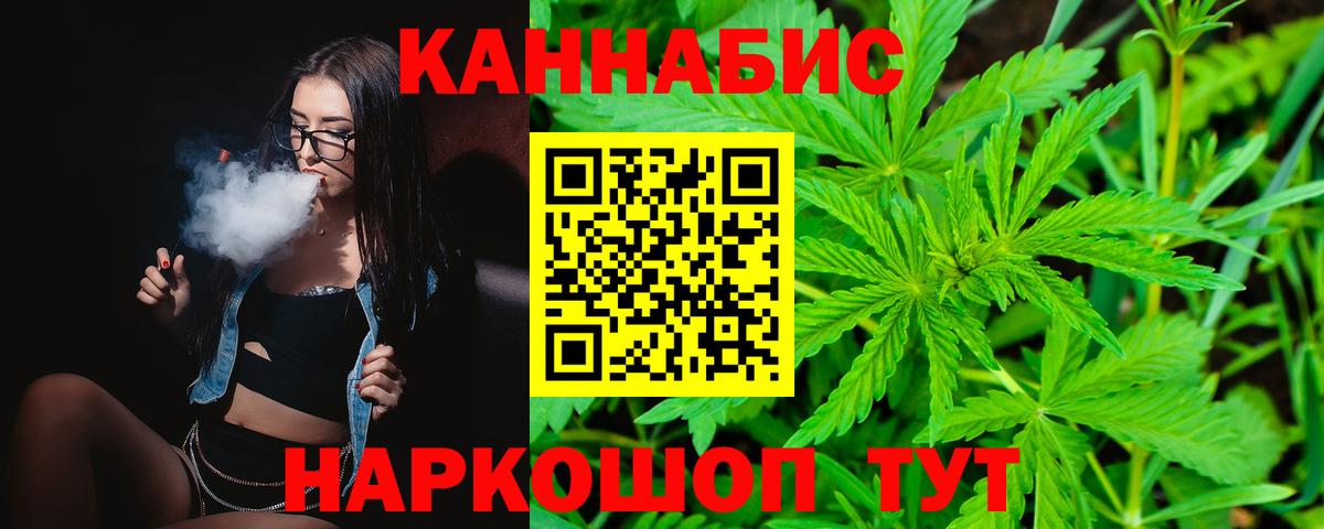 Каннабис планчик Моздок